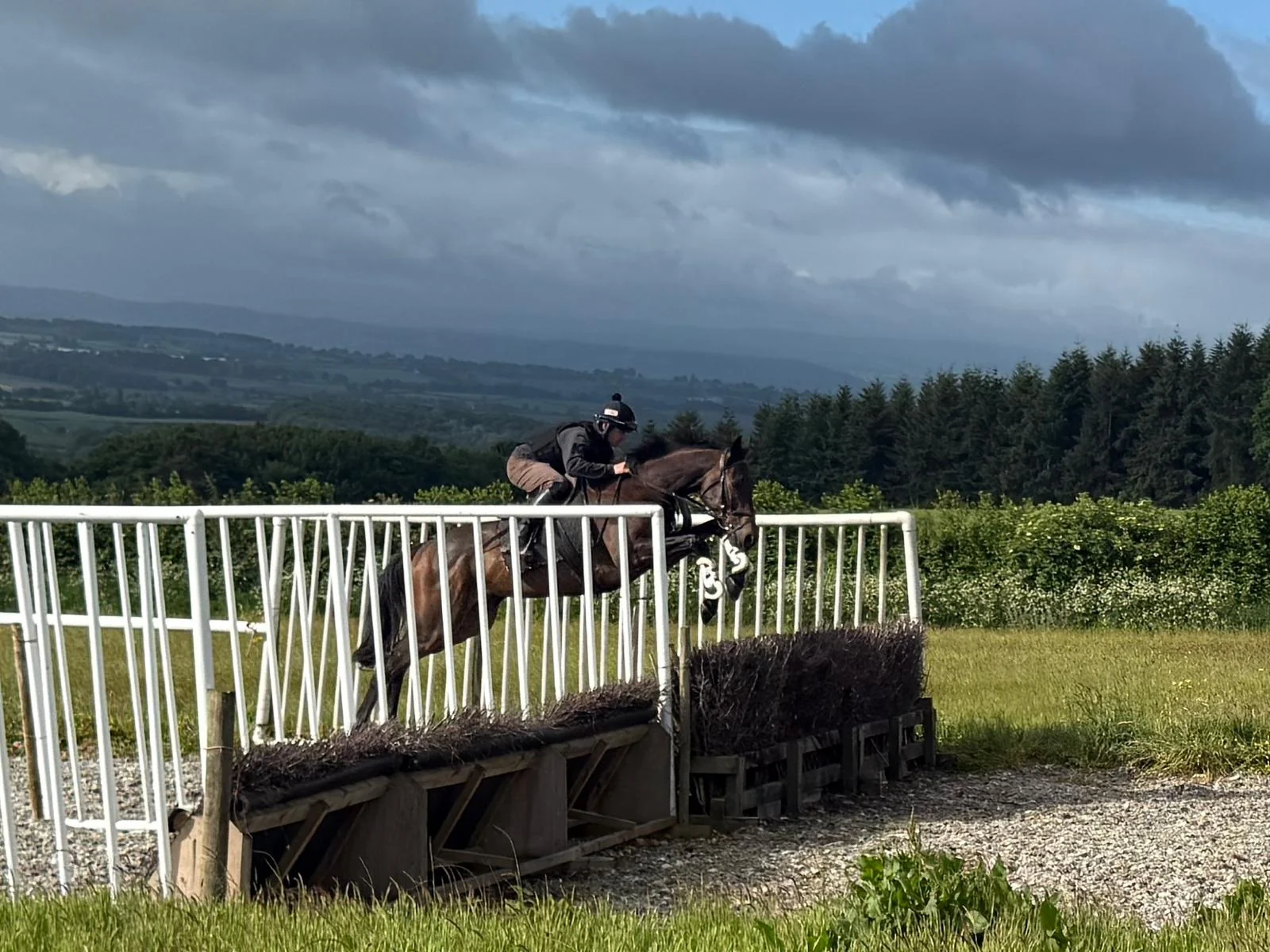 A rider working a horse over schooling fences