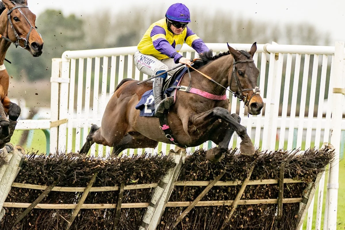 Nemean Lion in winning action
