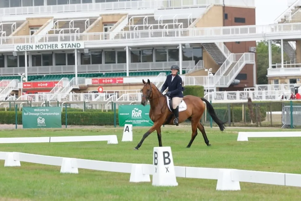 Eaton Collina in retirement action at Aintree