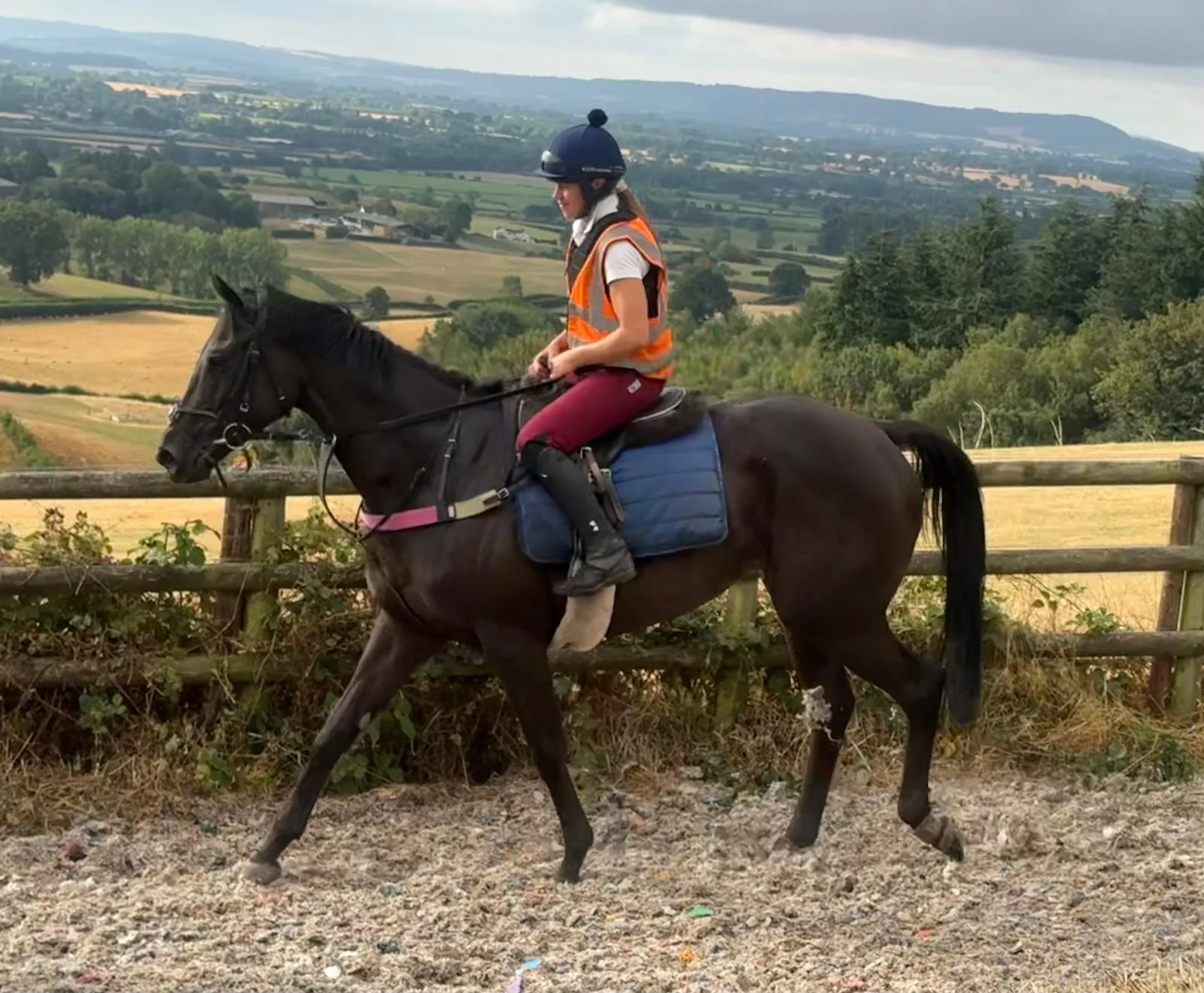 A horse and rider exercising at Bell House with countryside views