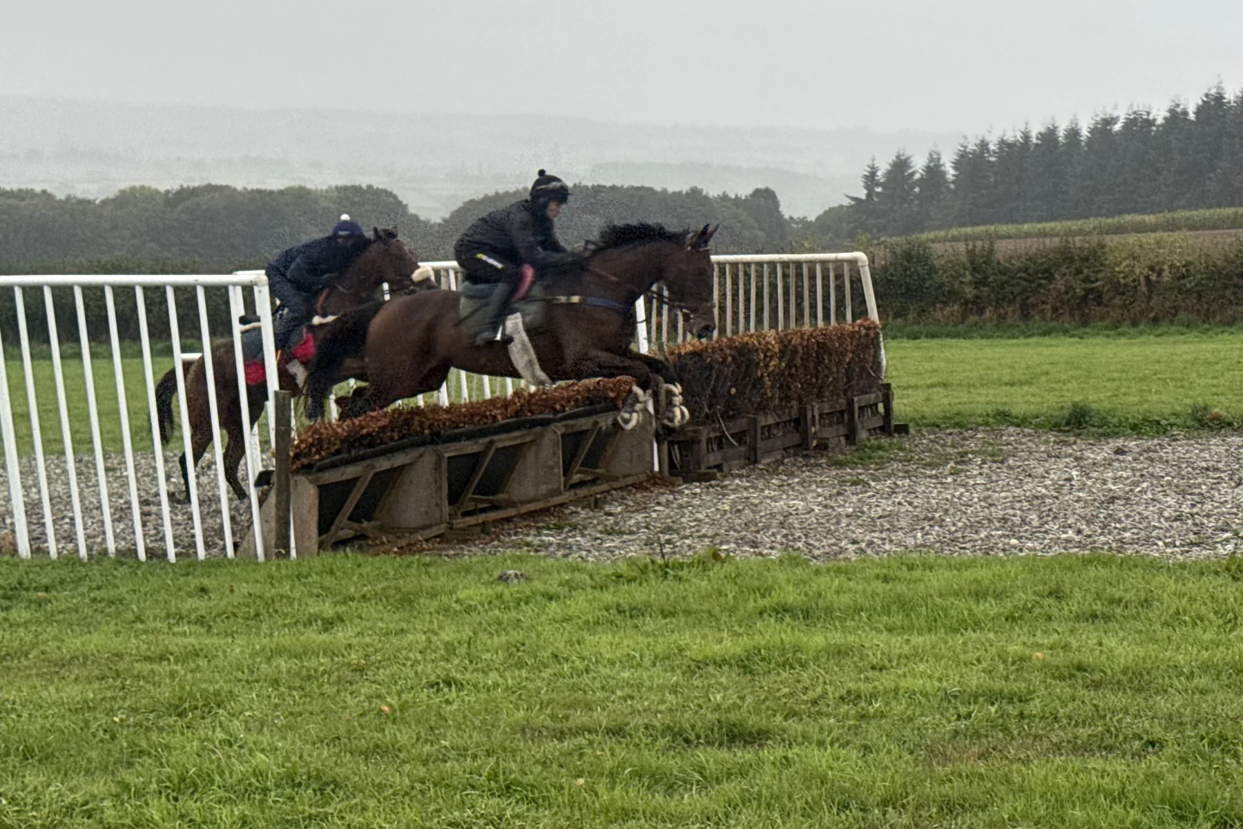 A horse and rider schooling over fences at Bell House